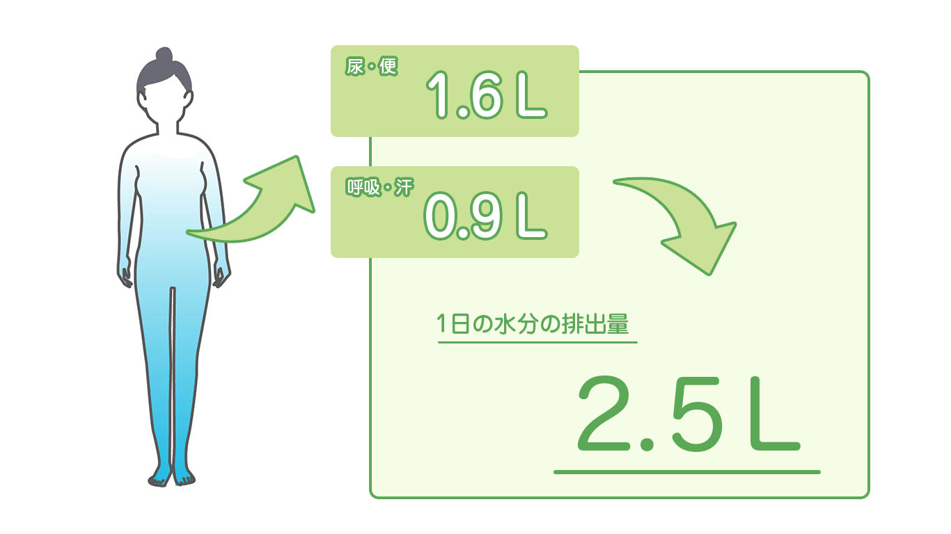 1日の水分の排出量