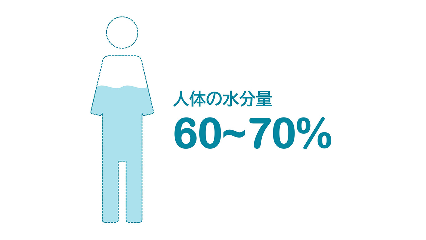 体内の水分量