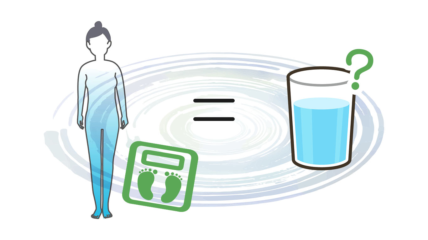体重で考える、適した水分量とは